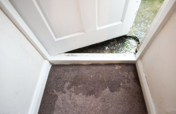 Wet Carpet Restoration in Waukesha