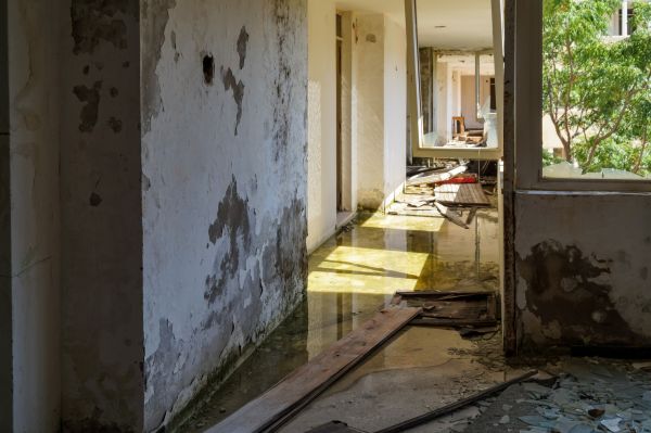 Cost of Water Removal Service in Waukesha